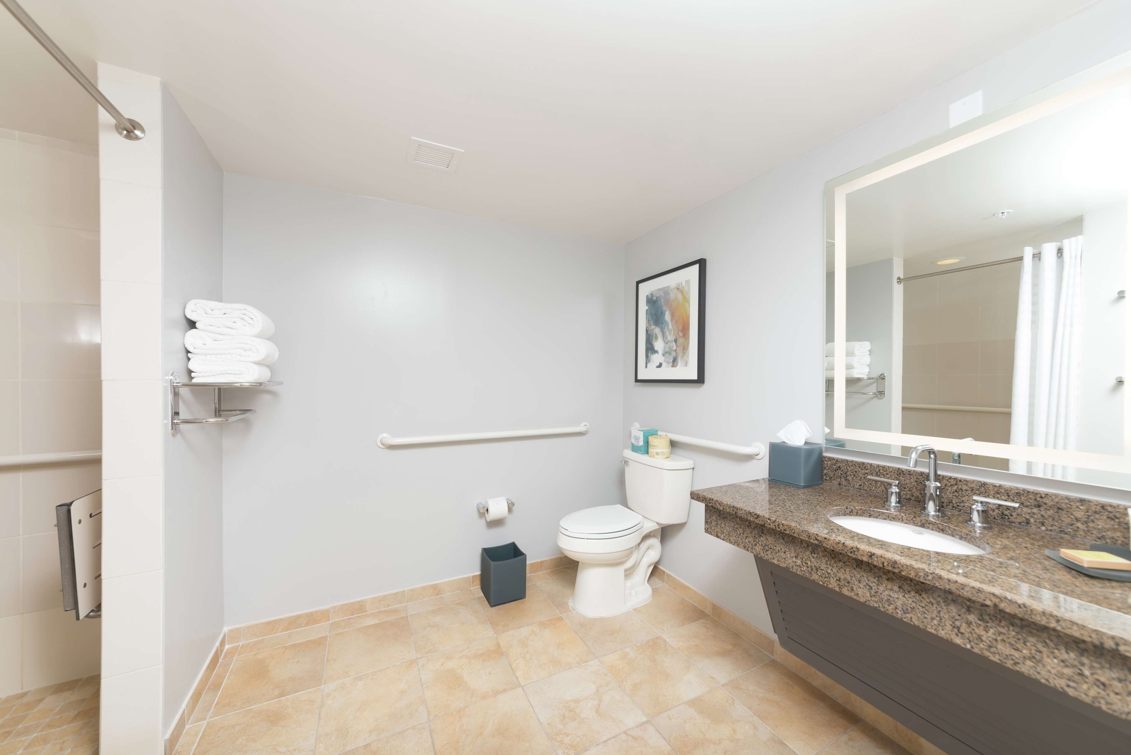A modern bathroom with a toilet, sink, and handrails.