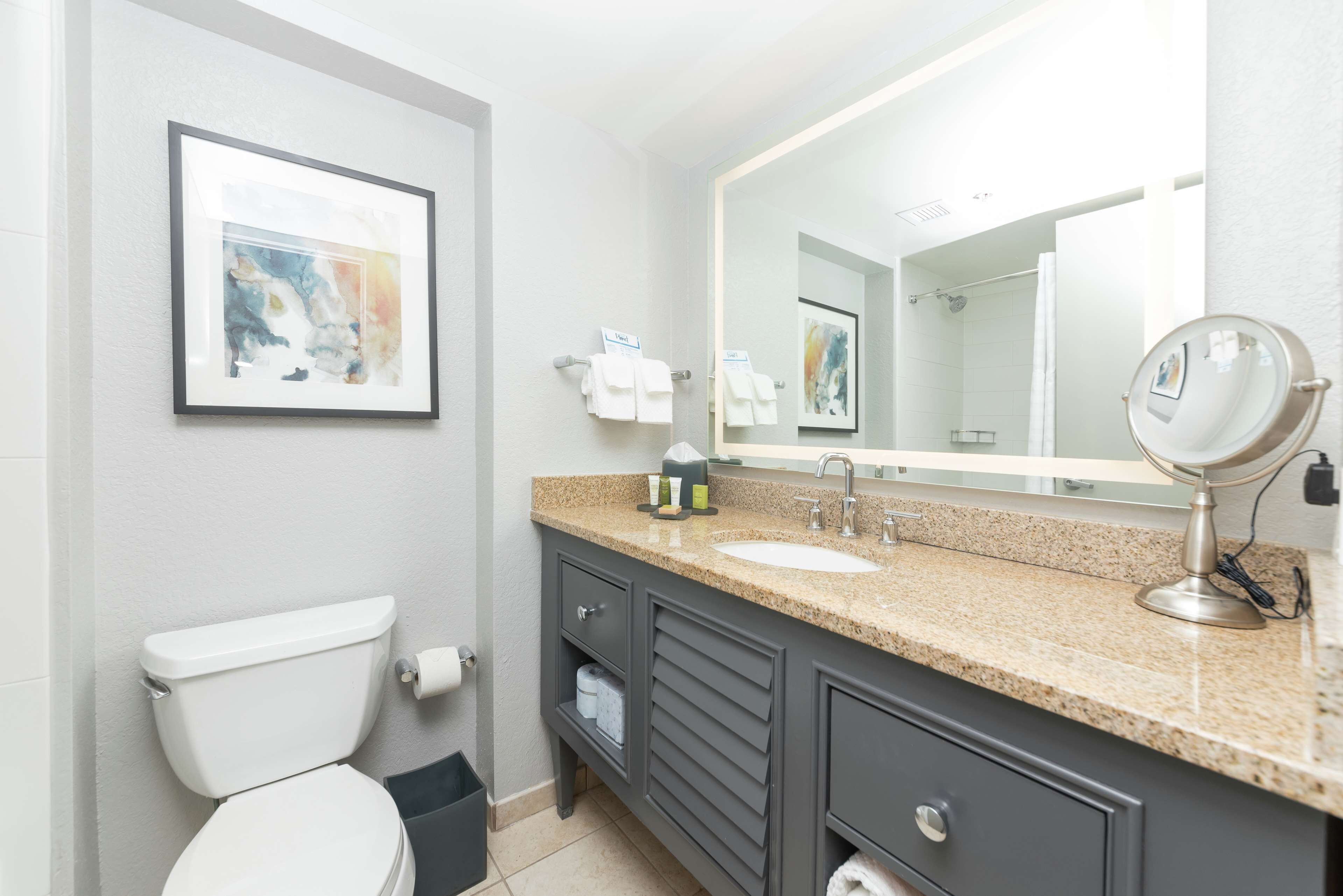 Un baño moderno con inodoro, lavabo, tocador y un espejo grande.