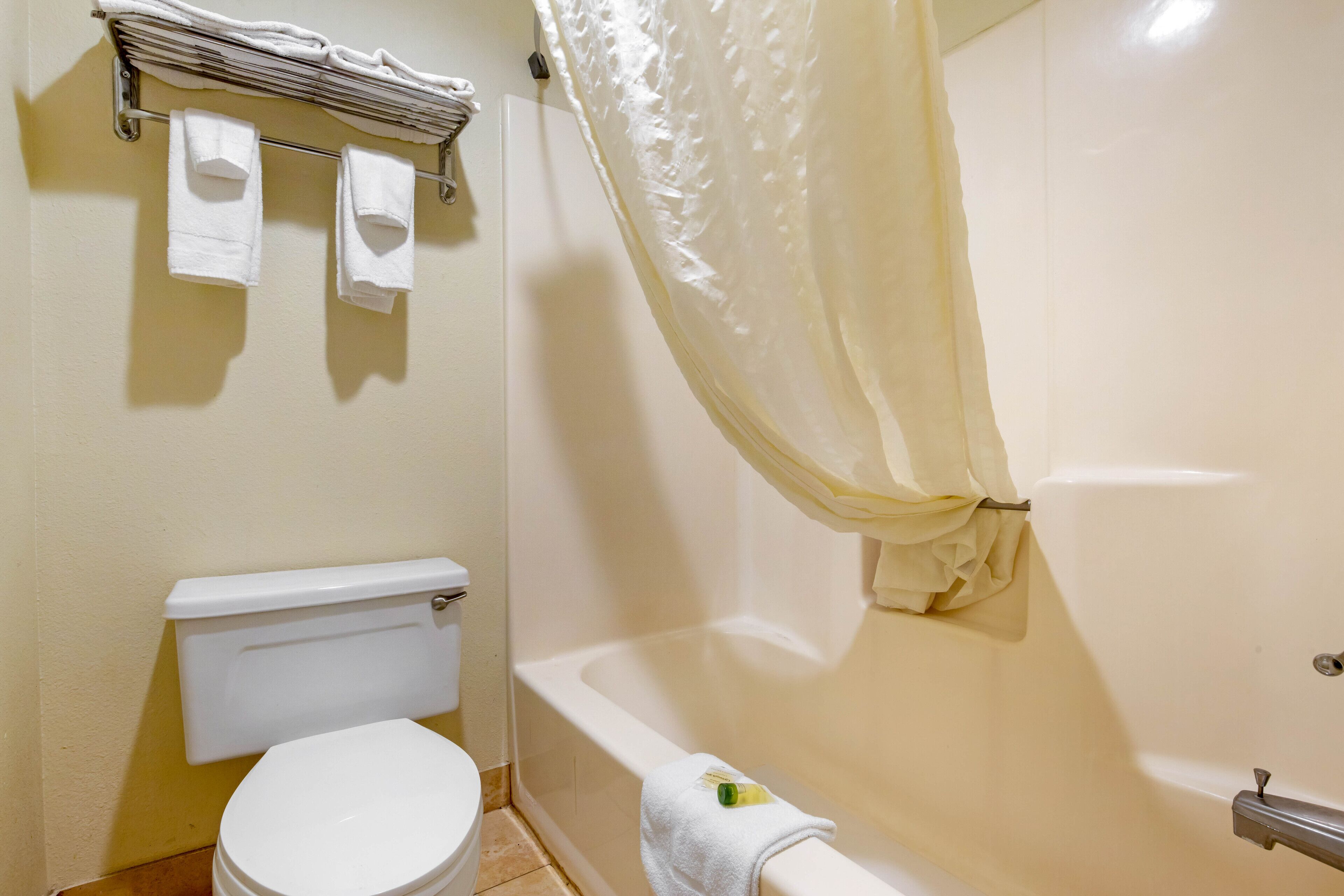 A bathroom with a toilet, a bathtub, and a shower curtain.