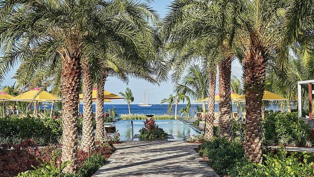 A pathway leading to a pool with palm trees and umbrellas, overlooking a body of water. - Four Seasons Resort - Nevis (Jessups Village)