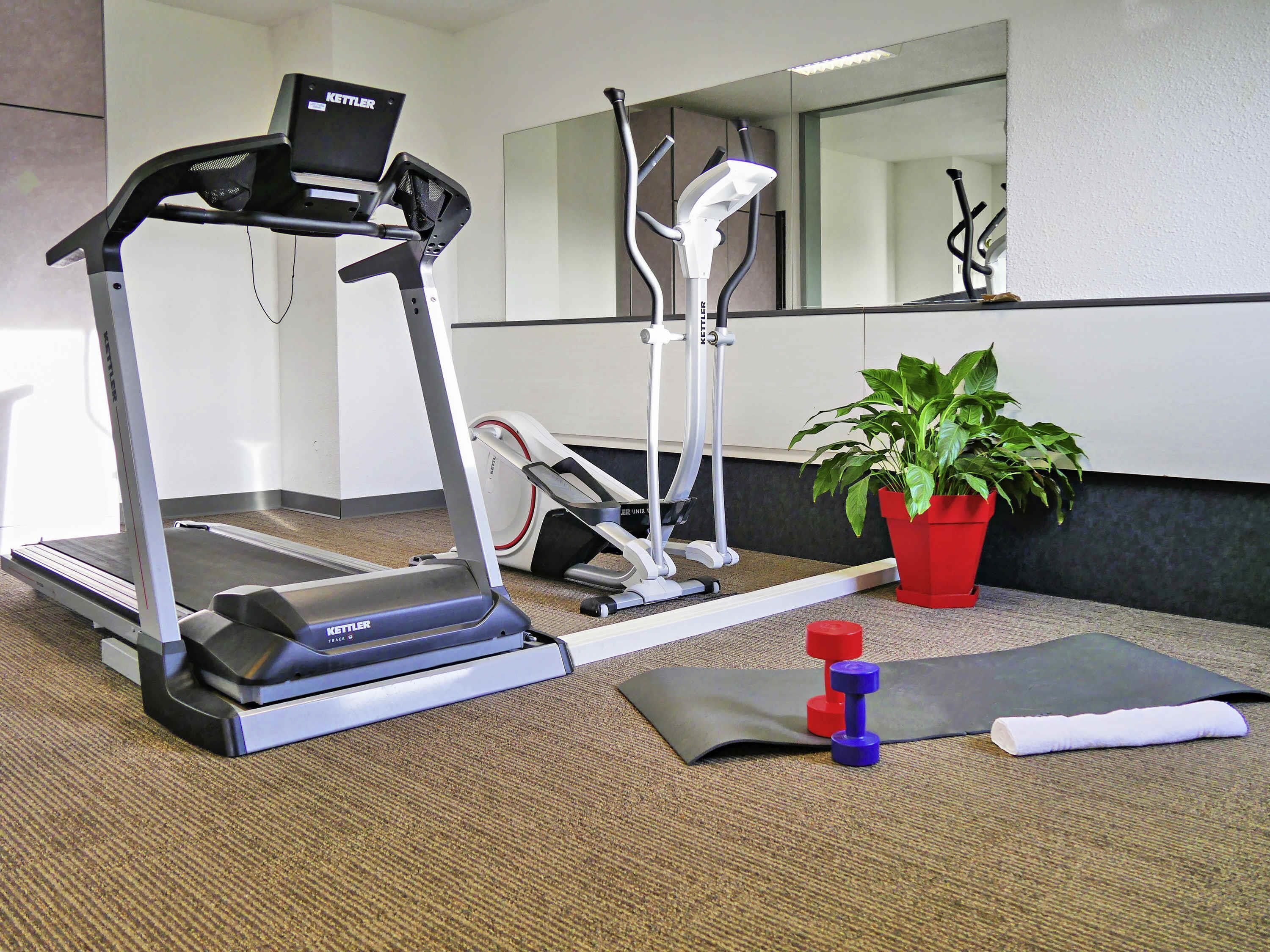 A gym with treadmills, elliptical machines, a mirror, and a potted plant.