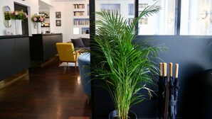 Et moderne interiør med trægulv, en gul lænestol, en stor stueplante og en reol fyldt med bøger og pyngeting.