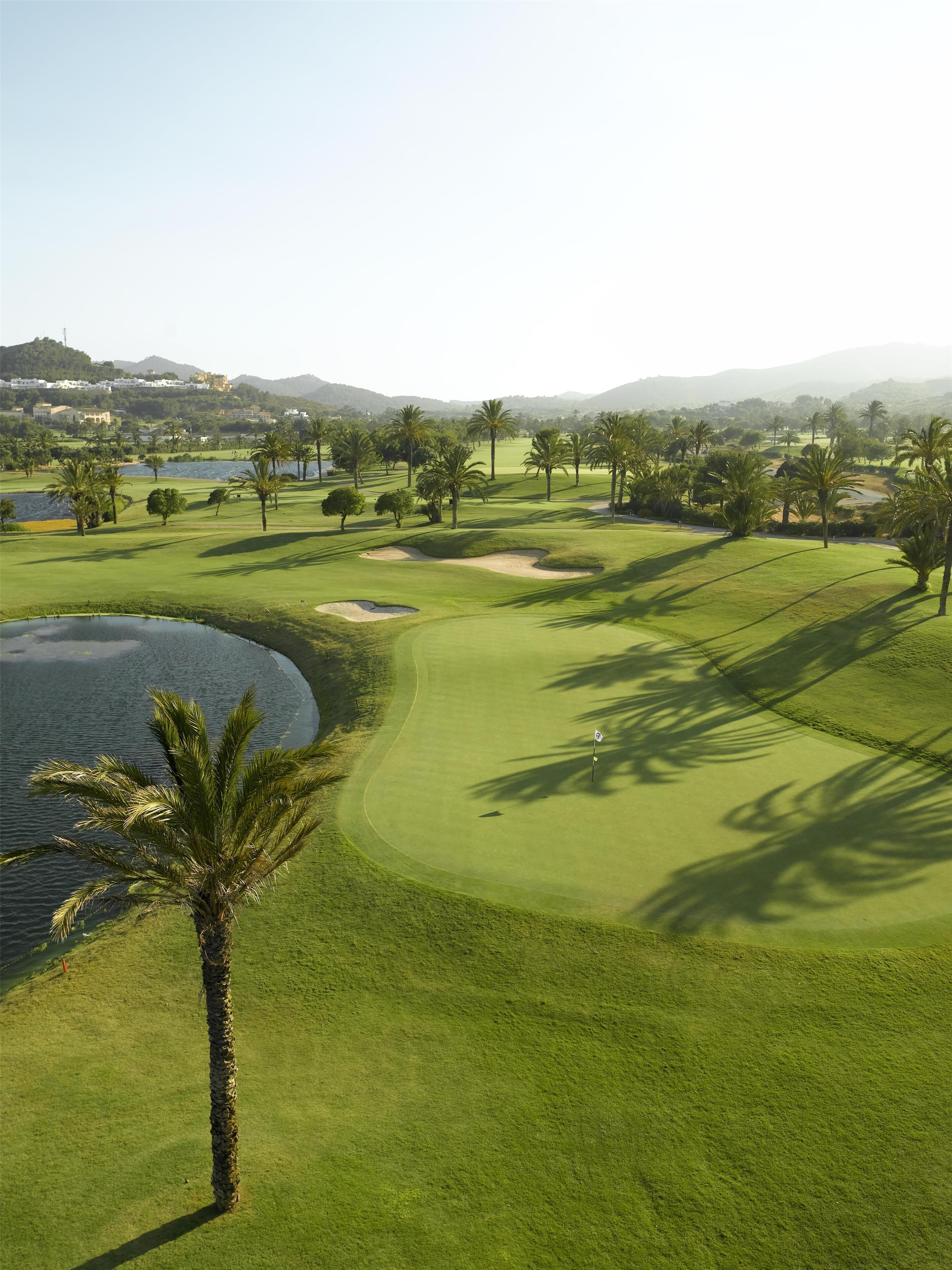 A golf course with a water body, palm trees, and distant buildings.