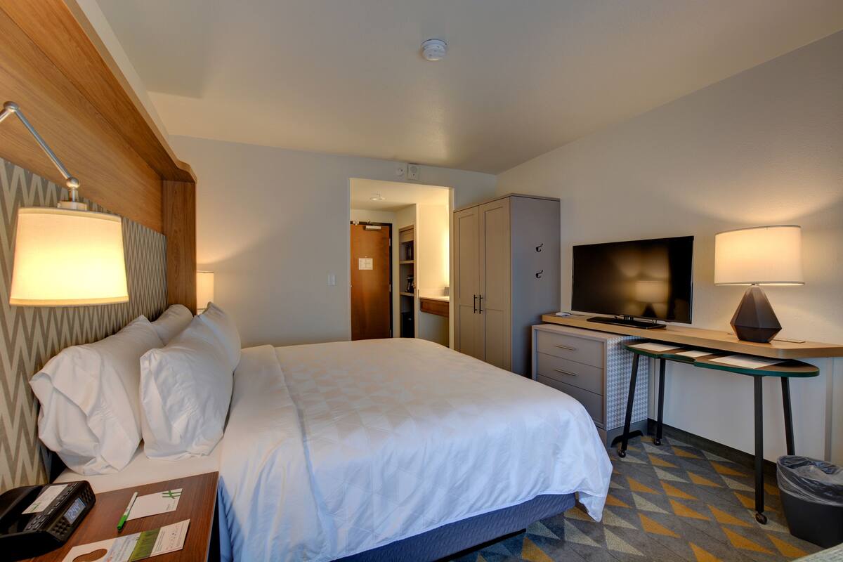 A hotel room with a bed, desk, television, and a trash bin.