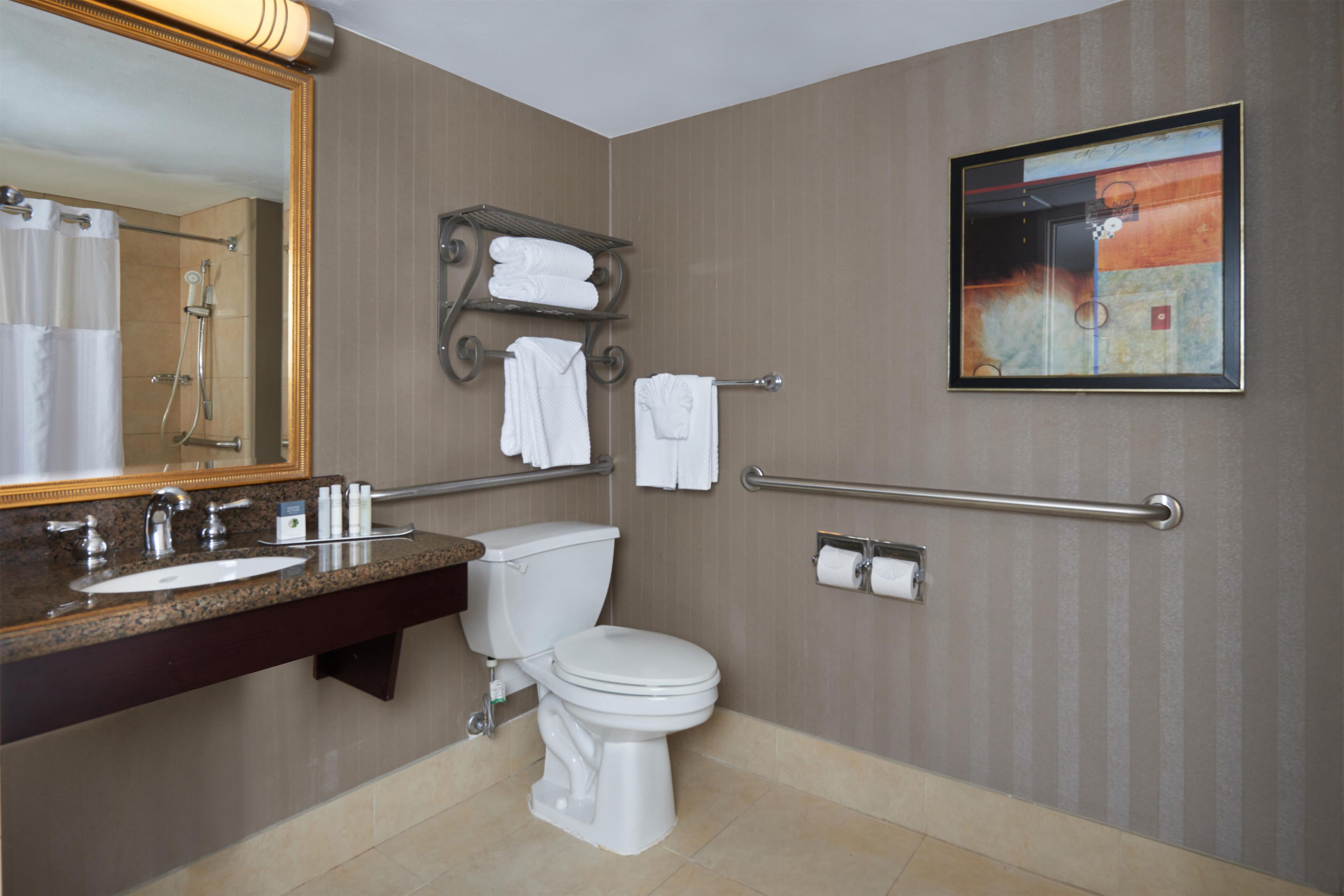 Ein Hotelbad mit Waschbecken, Spiegel, Toilette, Handtuchhalter und einem gerahmten Kunstwerk an der Wand.