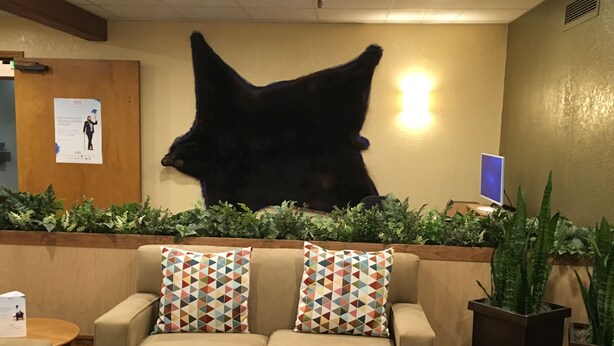 A lobby with a beige sofa, patterned cushions, a mounted animal hide, a computer monitor, and potted plants. - Travelodge by Wyndham Juneau (Juneau)