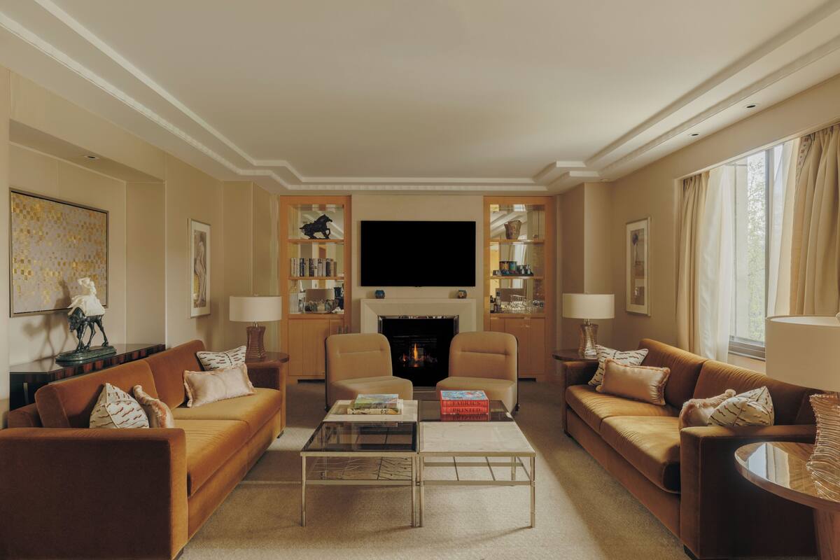 Suite (Park) | Living area | Flat-screen TV, DVD player