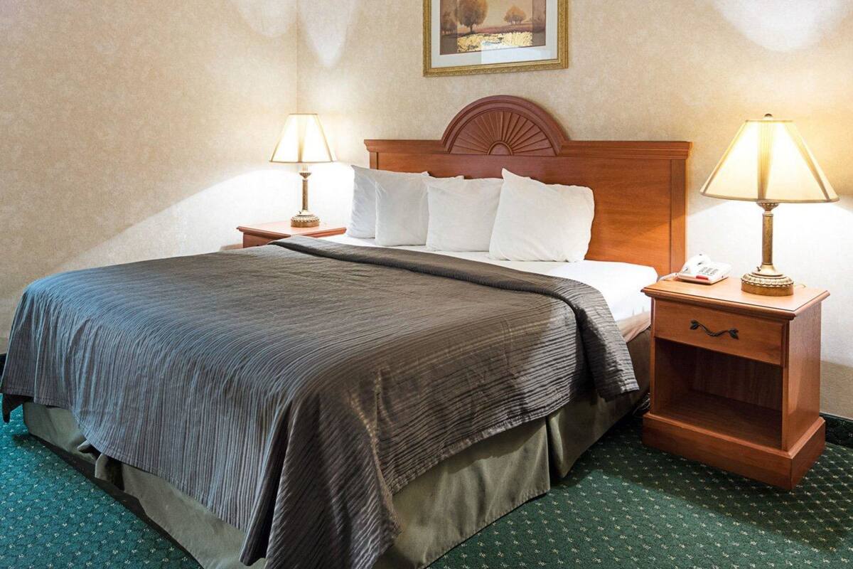 A hotel room with a large bed, two bedside tables with lamps, a framed picture on the wall, and a green carpet.