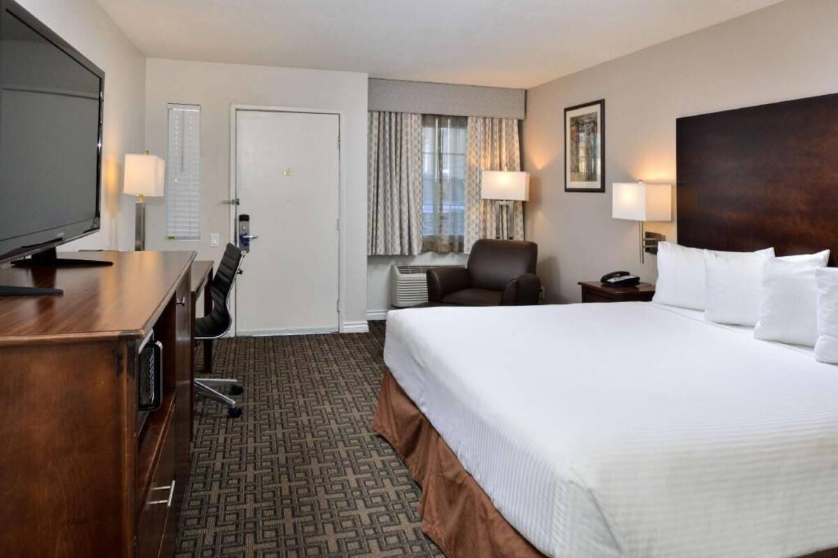 A hotel room with a bed, a desk, a chair, a television, and a window with curtains.