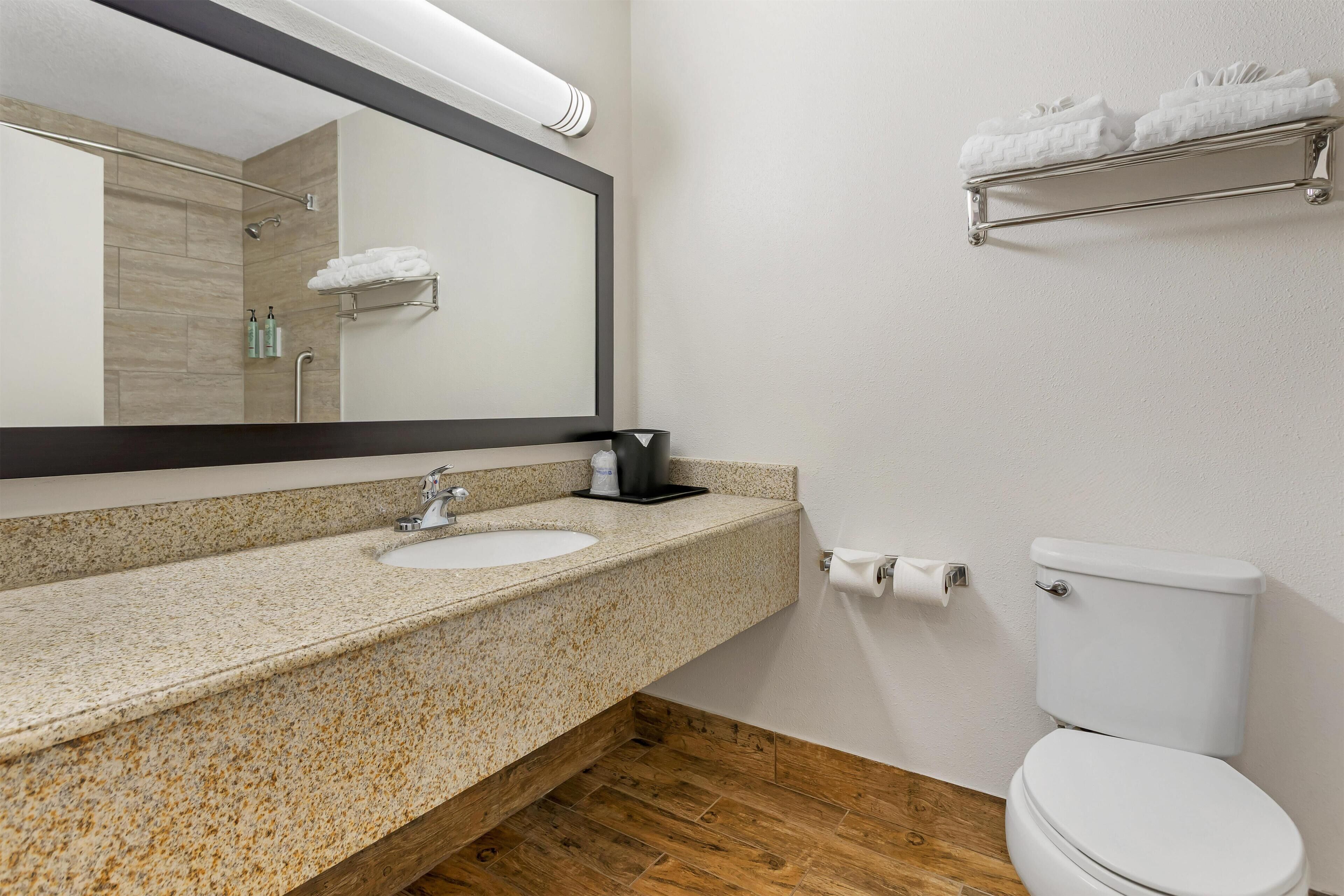 Un baño con encimera de granito, dos lavamanos, un espejo grande, ducha e inodoro.