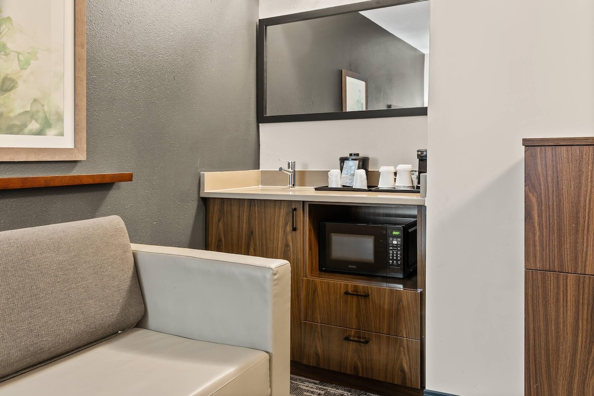 Suite, 1 King Bed with Sofa bed, Accessible, Non Smoking (Efficiency)