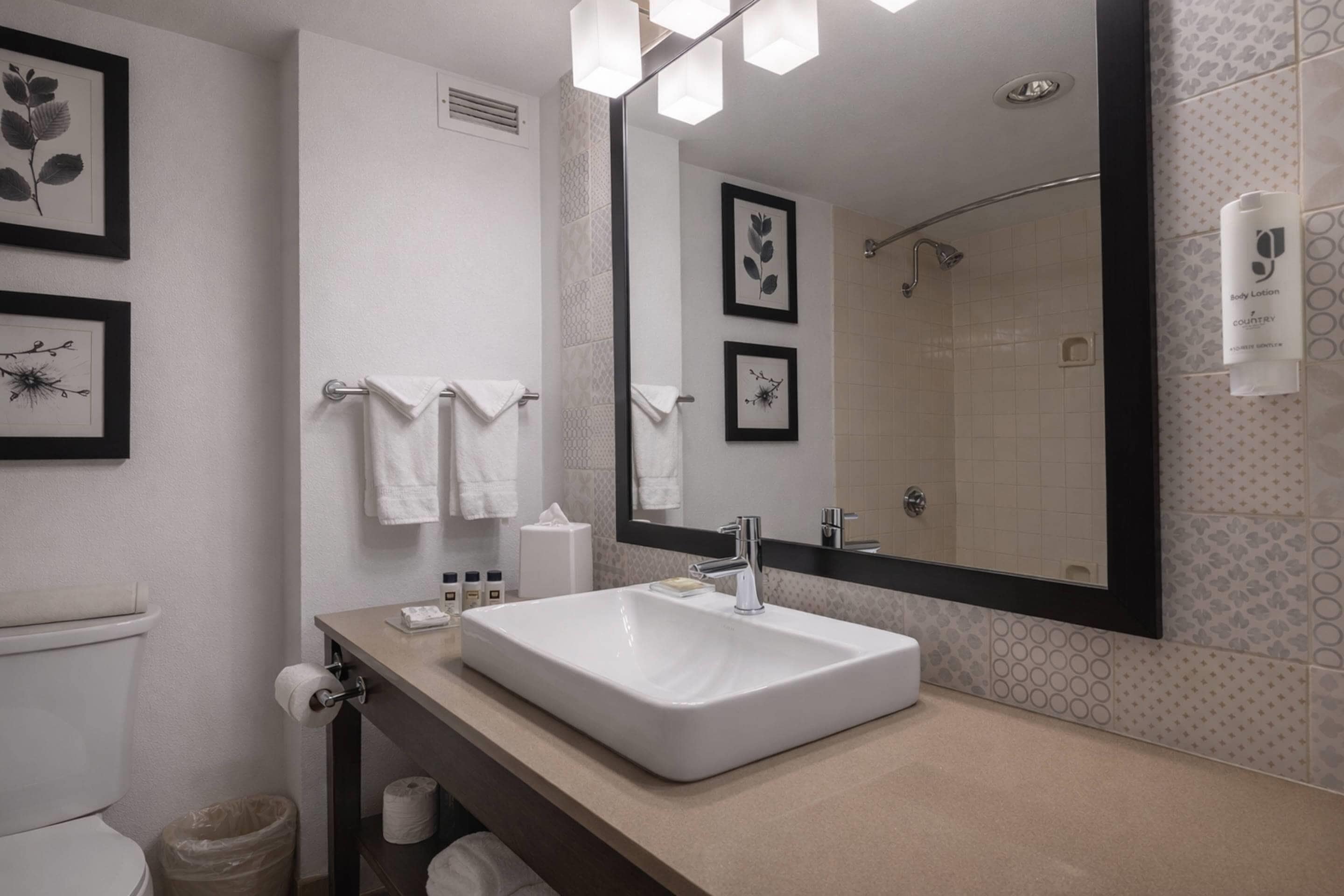A modern bathroom with a white sink, a large mirror, and framed botanical prints on the wall.