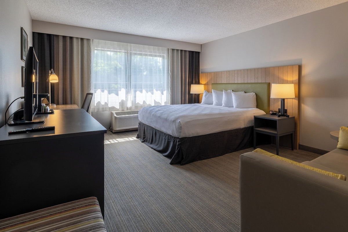 Studio, 1 King Bed, Non Smoking | 1 bedroom, in-room safe, desk, laptop workspace