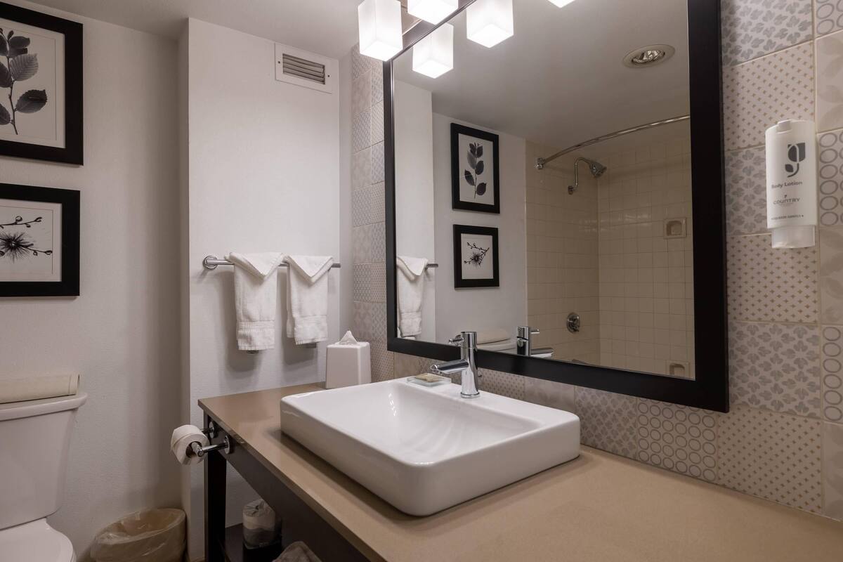 A bathroom with a white sink, a large mirror, and framed artwork on the wall.