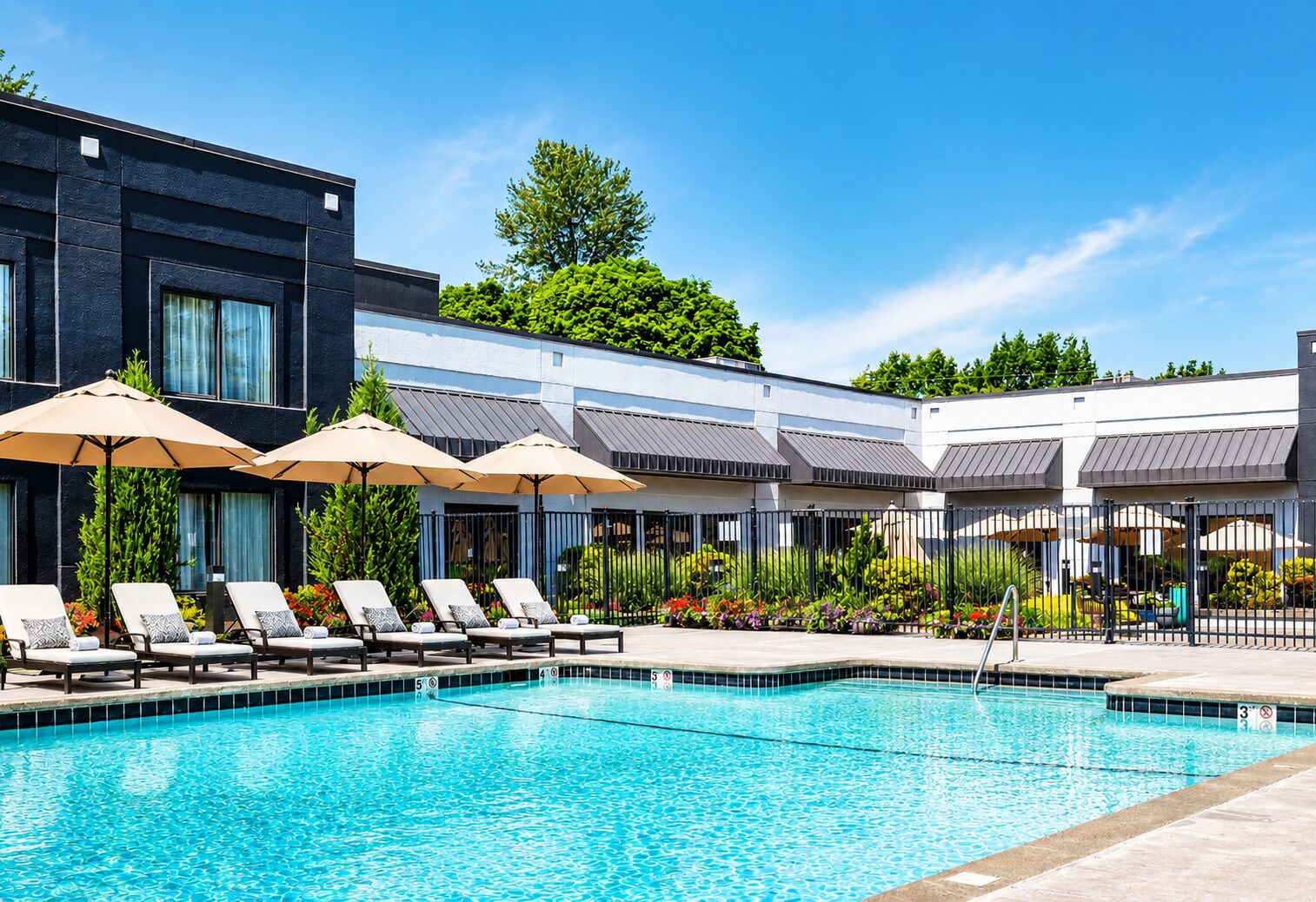 A swimming pool with lounge chairs and umbrellas, surrounded by a modern building with a black facade and a white exterior.