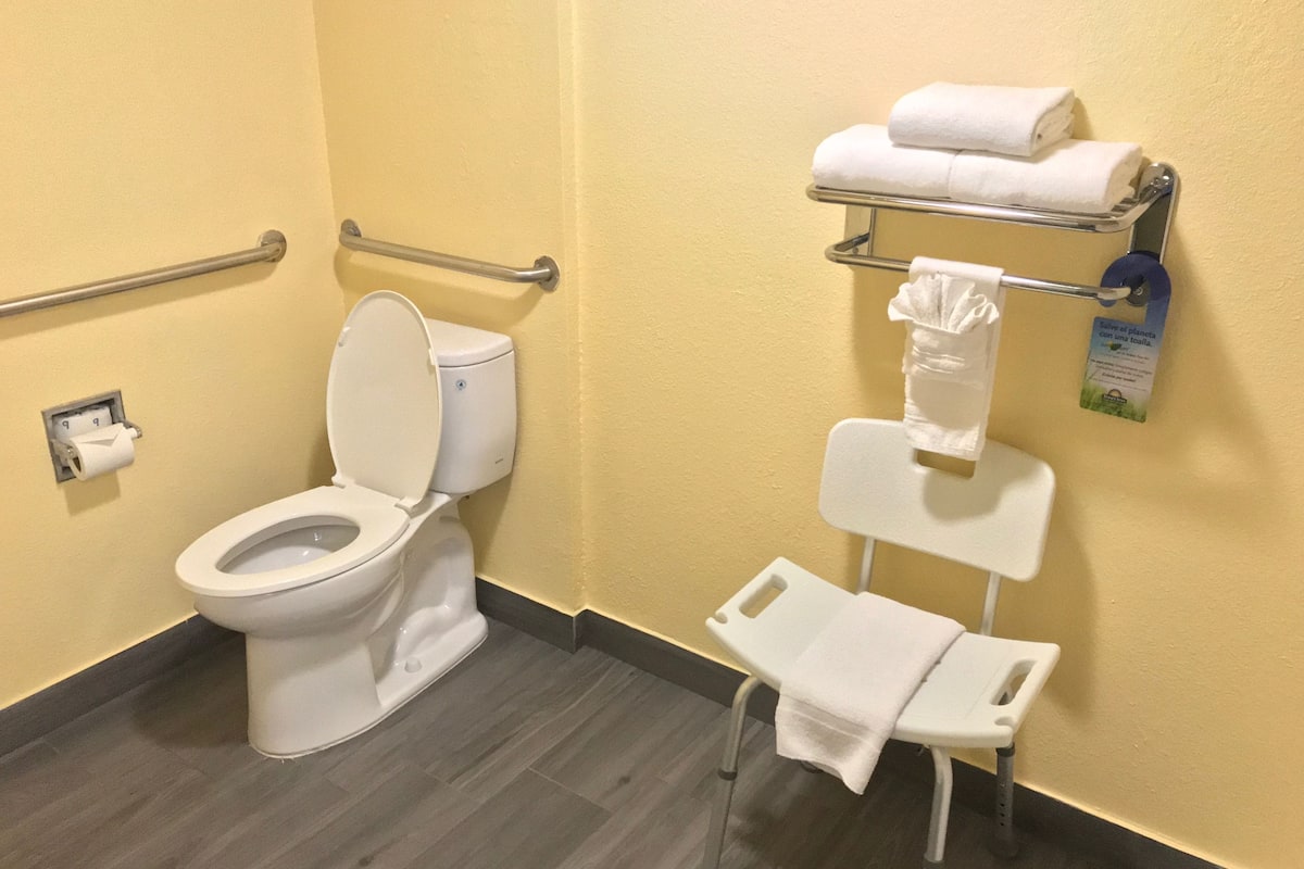 room, 1 king bed, accessible, non smoking (roll-in shower) | bathroom | free toiletries, hair dryer, towels