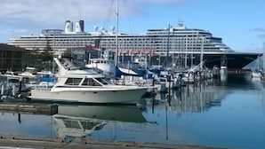 A large cruise ship docked at a marina with smaller boats nearby.