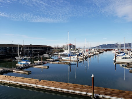 A marina with multiple boats docked, wooden piers, and a building with a red roof in the background.