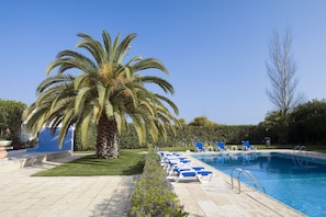 Outdoor pool, sun loungers
