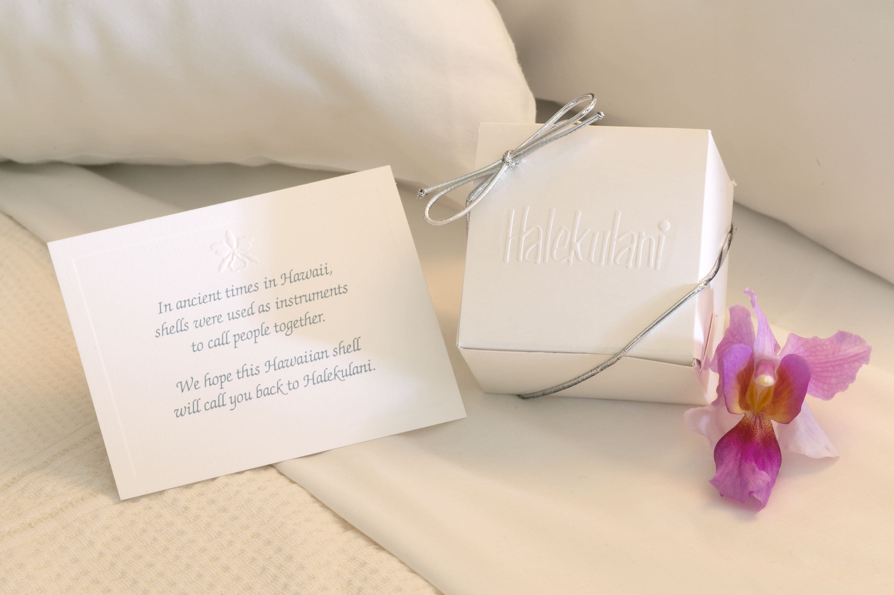 room, 2 single beds (diamond head ocean prime) | premium bedding, in-room safe, desk, laptop workspace