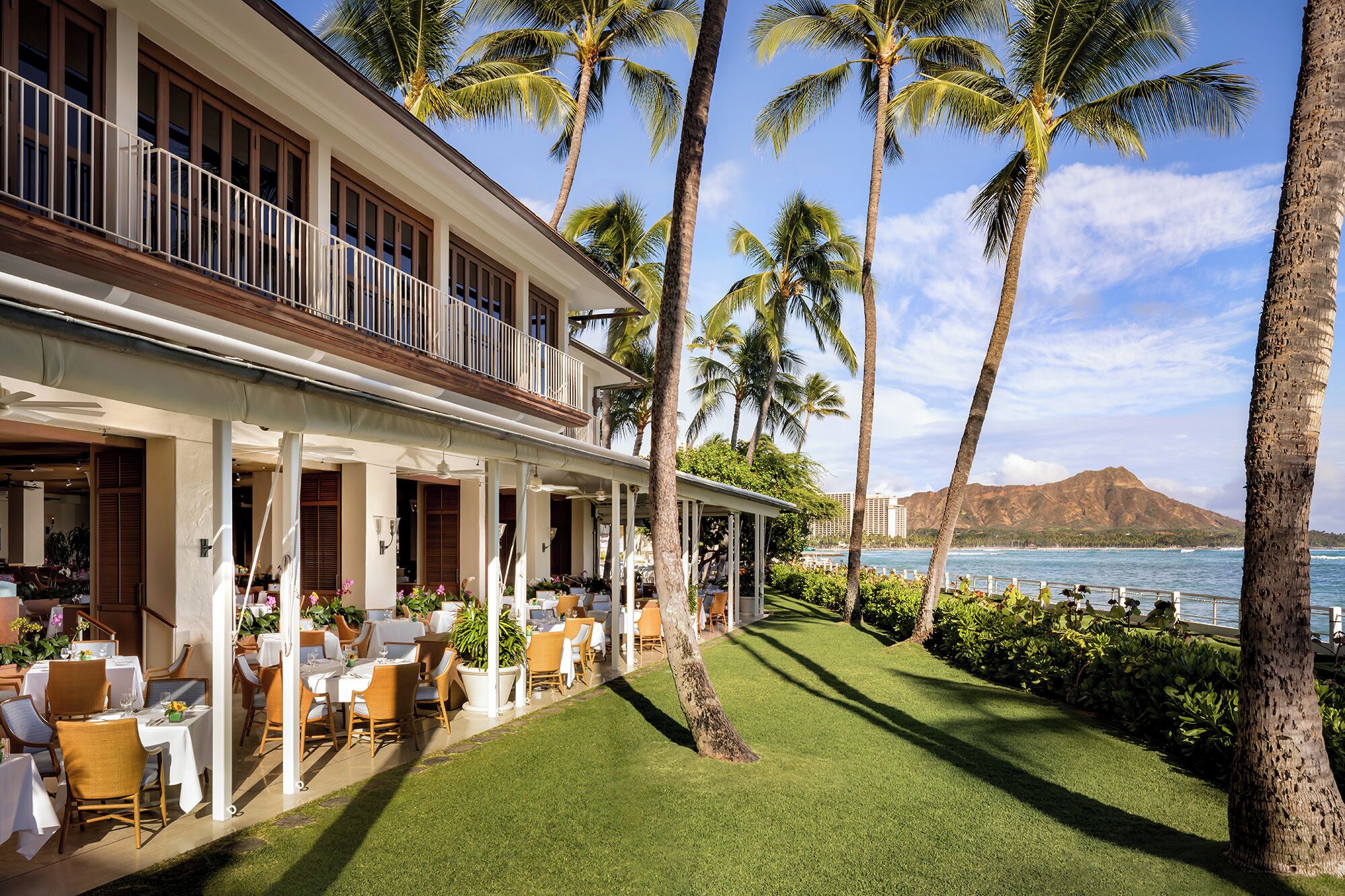 A beachfront restaurant with outdoor seating, palm trees, and a view of the ocean.