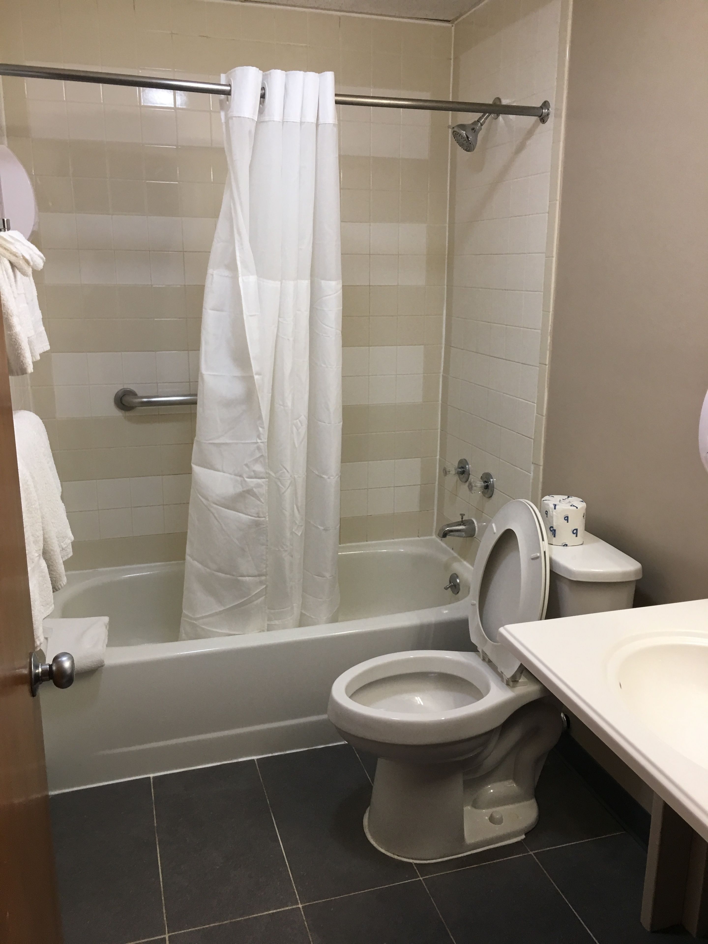combined shower/bathtub, free toiletries, hair dryer, towels