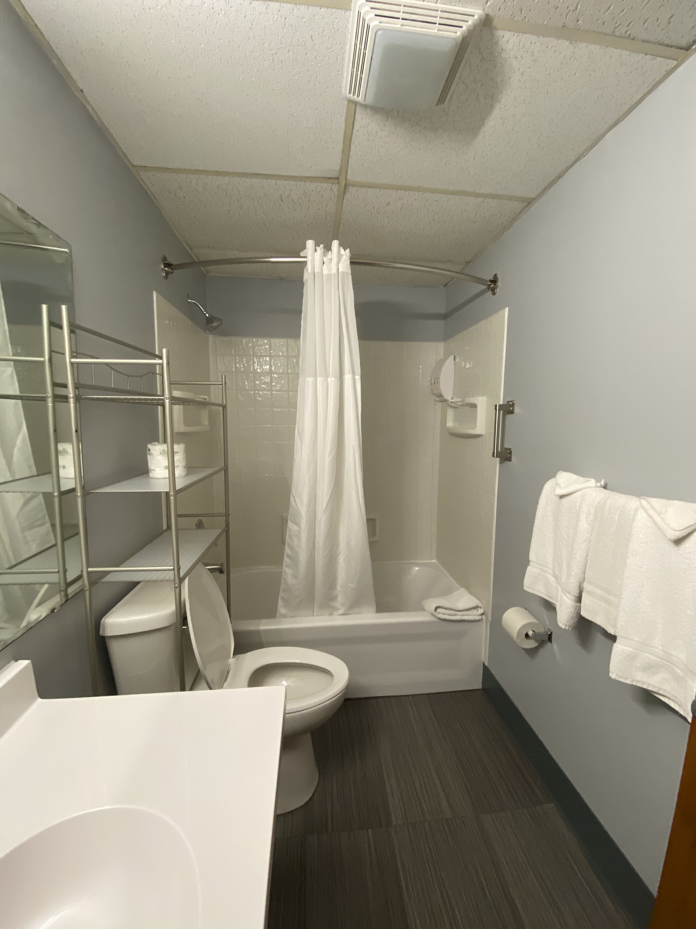 combined shower/bathtub, free toiletries, hair dryer, towels