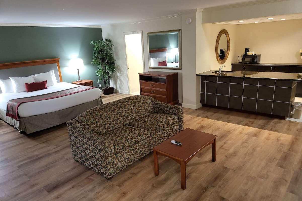 Een hotelkamer met een bed, een slaapbank, een klein tafeltje, een bureau, een spiegel, een plant en een kitchenette.