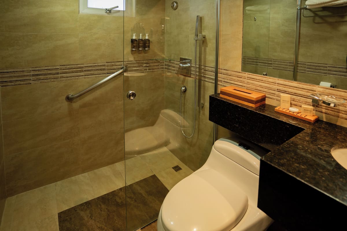 shower, free toiletries, hair dryer, bathrobes