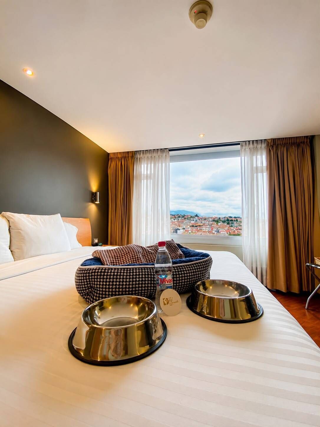 A hotel room with a large bed, a view of a cityscape, and two pet bowls on the bed.