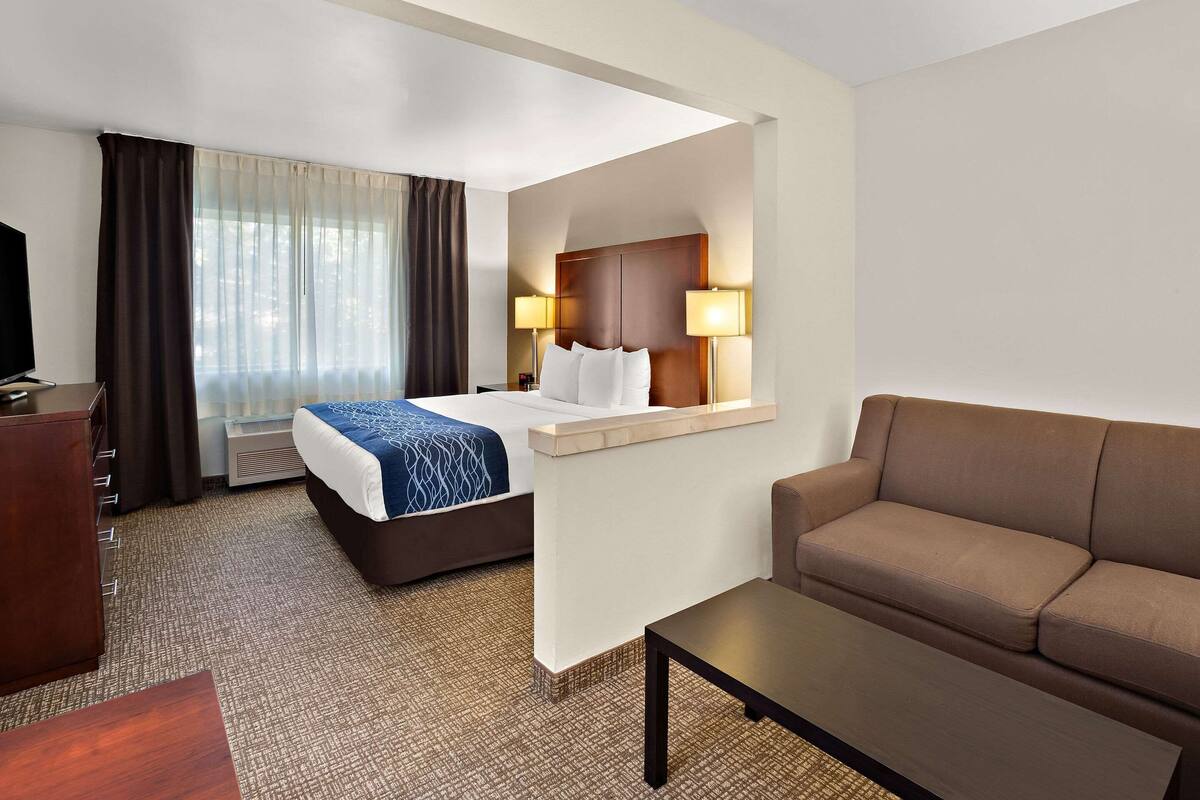 A hotel room with a bed, a sofa, a desk, and a TV.