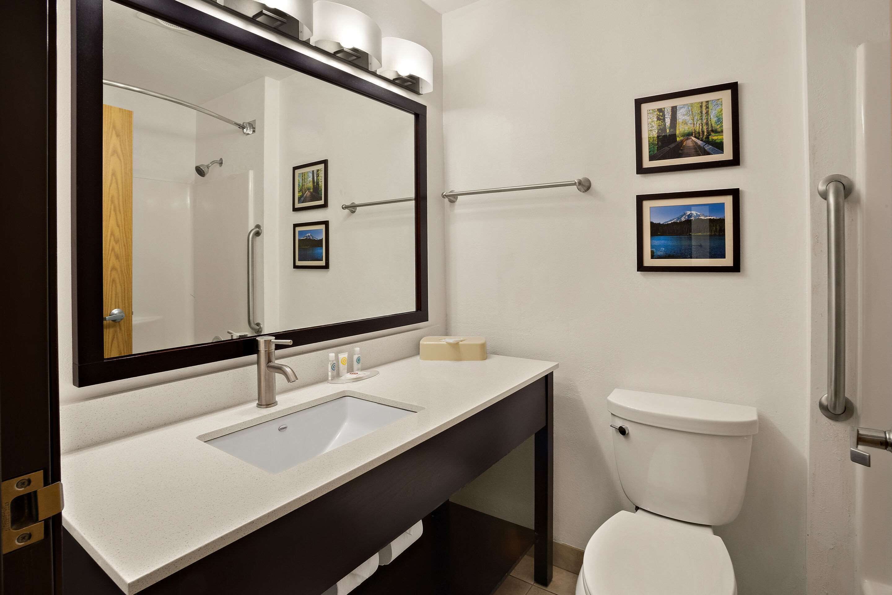 combined shower/bathtub, free toiletries, hair dryer, towels