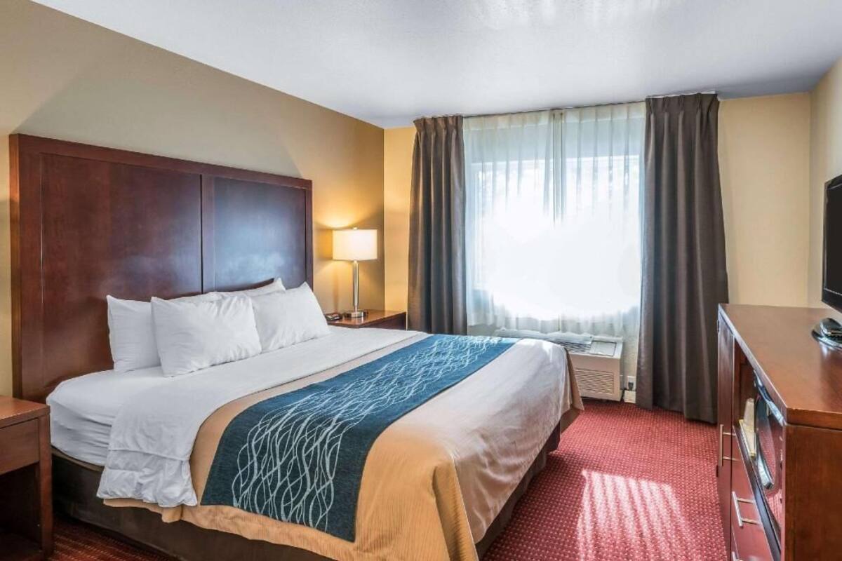 A hotel room with a large bed, a desk, a TV, and a window with curtains.