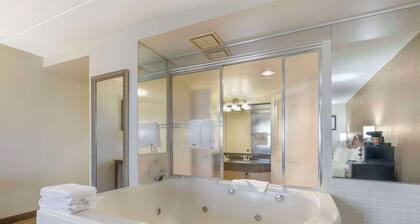 Comfort Inn University Center