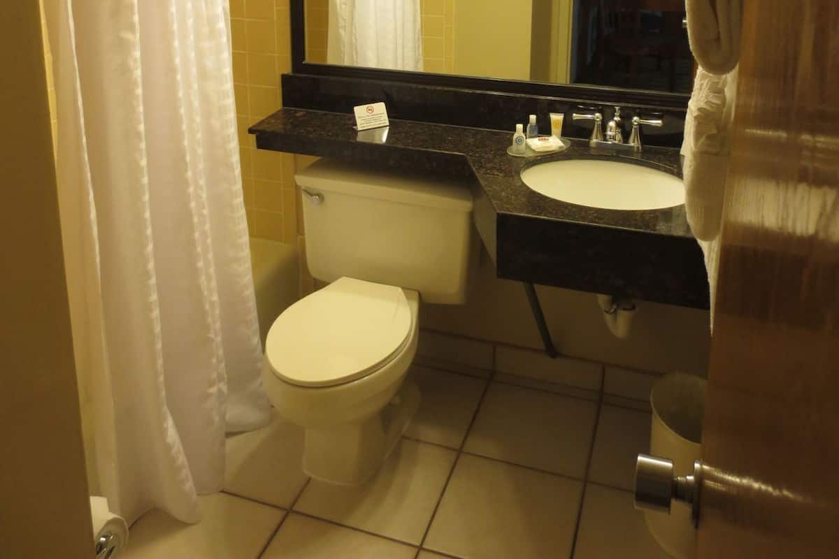 Salle de bain | Articles de toilette (gratuits), séchoir à cheveux, serviettes fournies