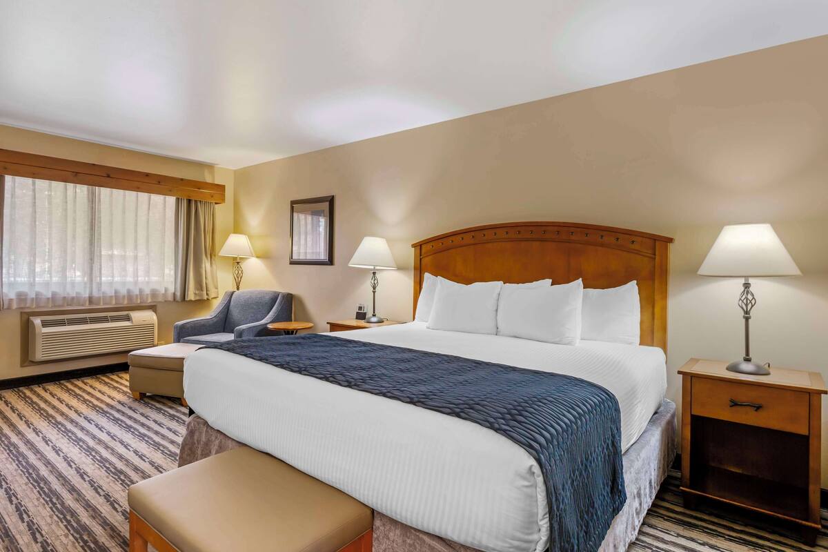 Habitación de hotel con una cama grande, dos mesitas de noche con lámparas, una silla, un banco y una ventana con cortinas.