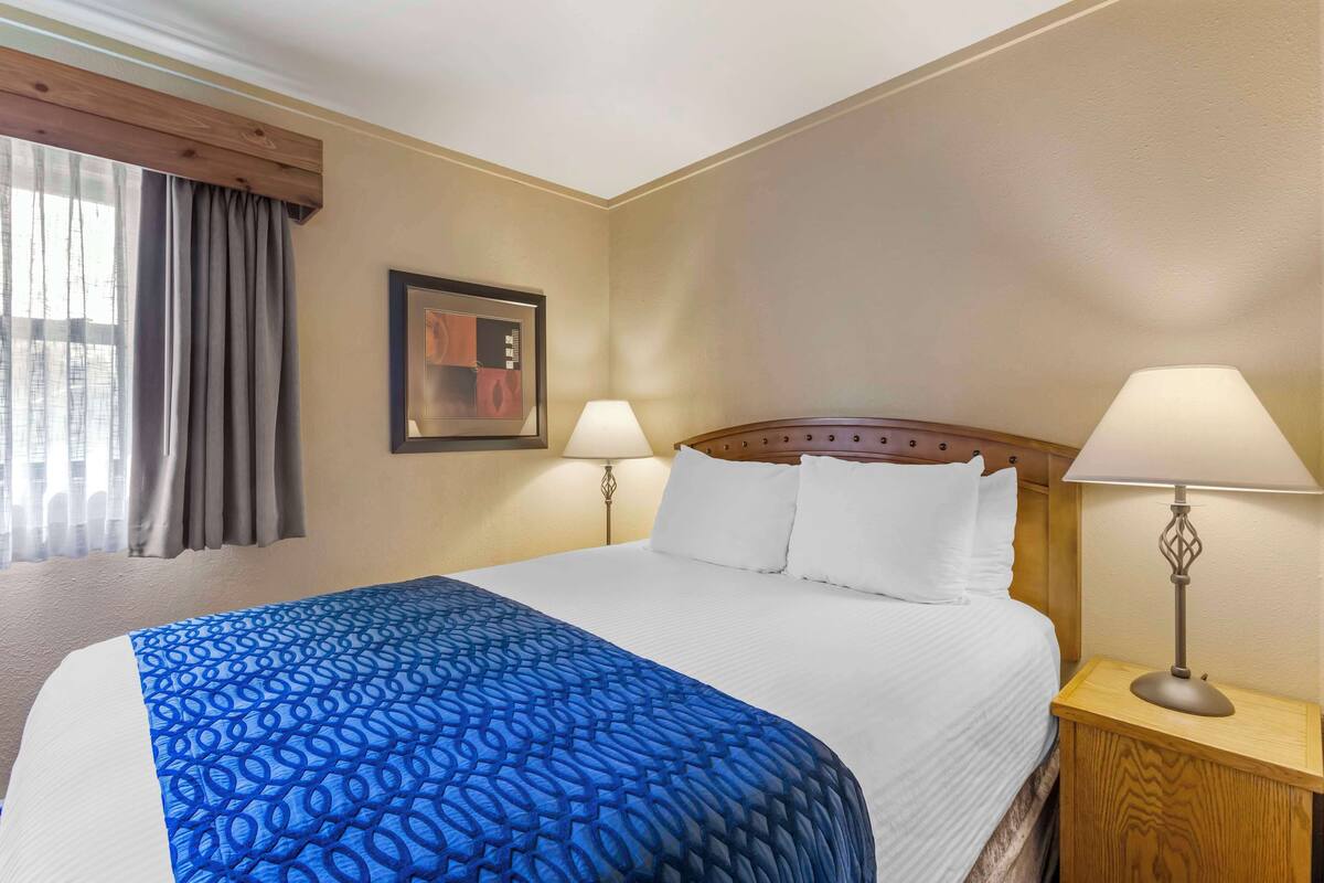 Una habitación de hotel con una cama grande, dos lámparas de noche, un cuadro enmarcado en la pared y una ventana con cortinas.