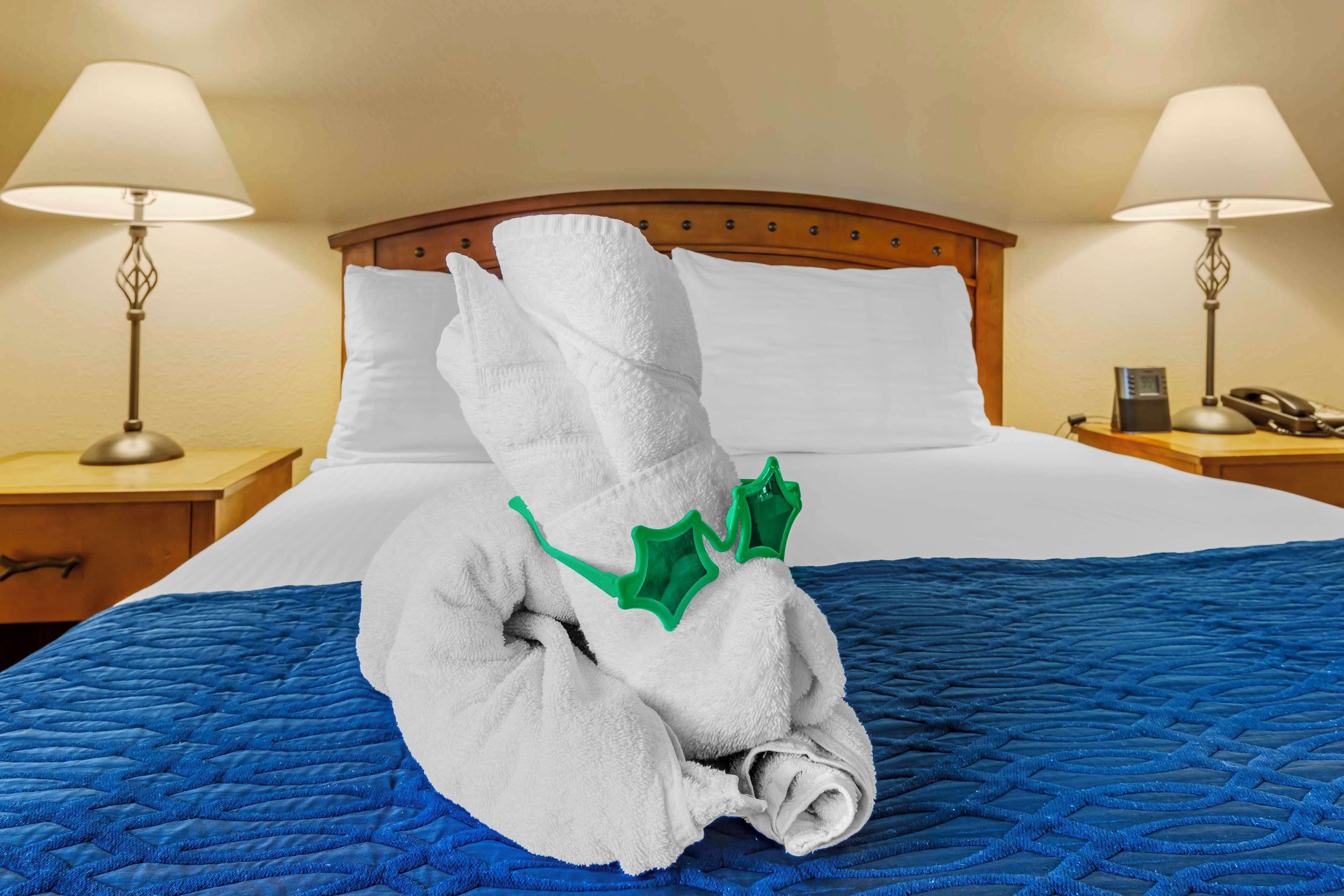 suite, multiple beds, non smoking, refrigerator & microwave (3 queen beds) | 1 bedroom, desk, laptop workspace, blackout curtains