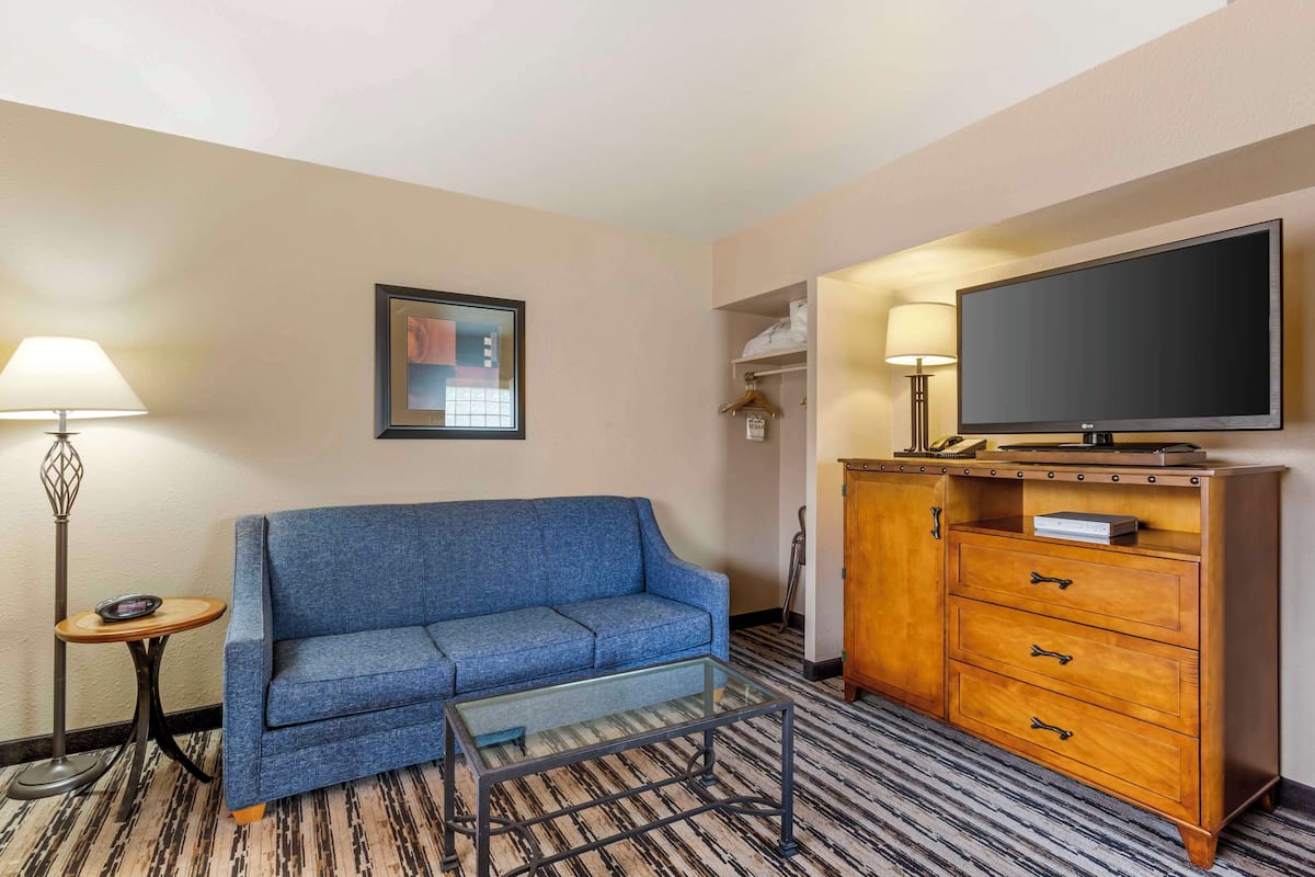Suite, 1 King Bed, Non Smoking, Microwave (with Sofabed) | 1 bedroom, desk, laptop workspace, blackout drapes