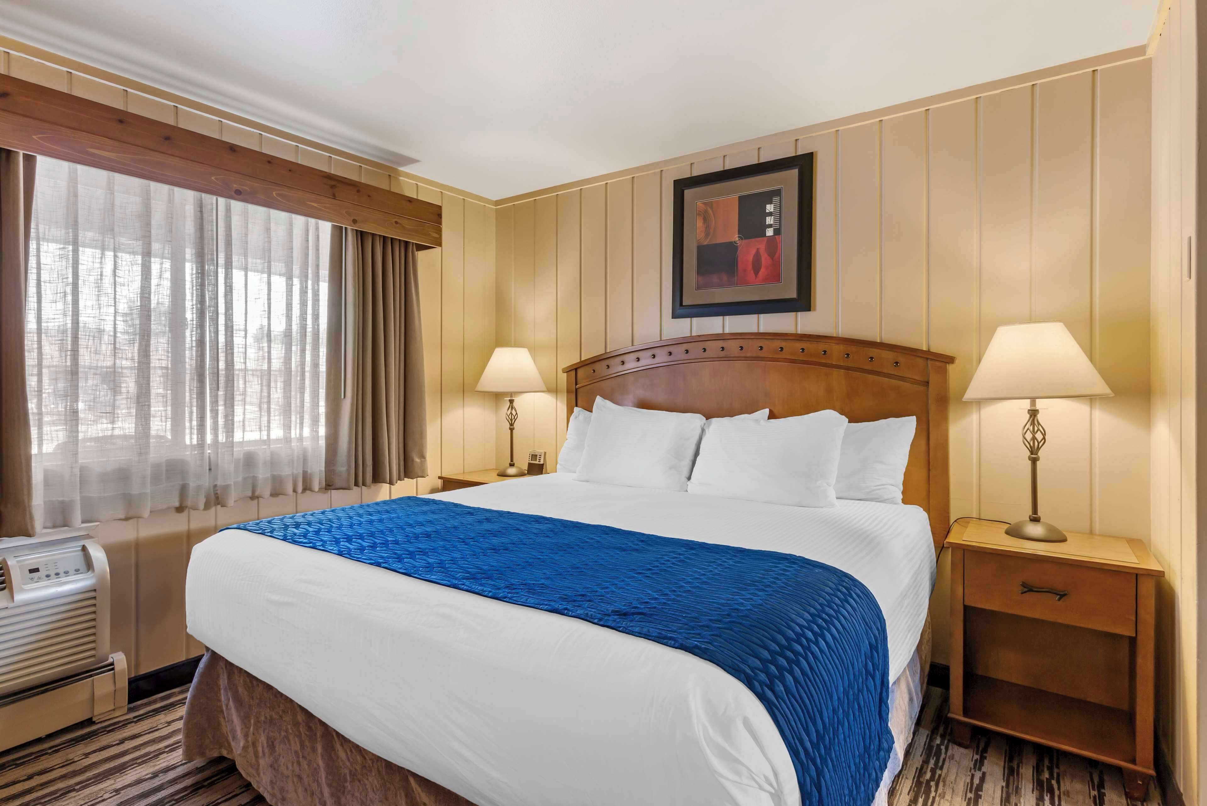 standard room, multiple beds, non smoking, refrigerator & microwave | 1 bedroom, desk, laptop workspace, blackout curtains