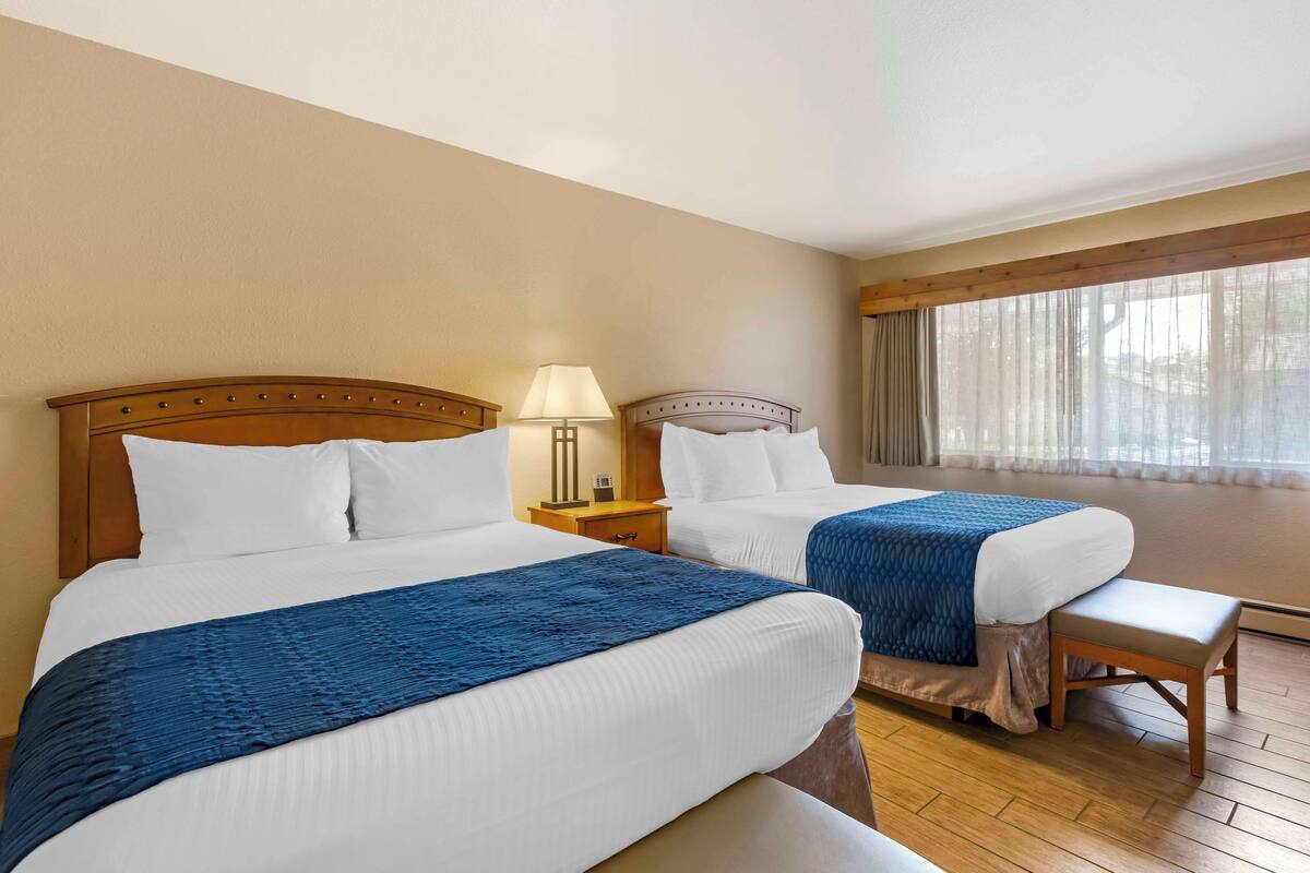Habitación de hotel con dos camas, cabeceros de madera, un banco, una mesita de noche con lámpara y un ventanal con cortinas translúcidas.