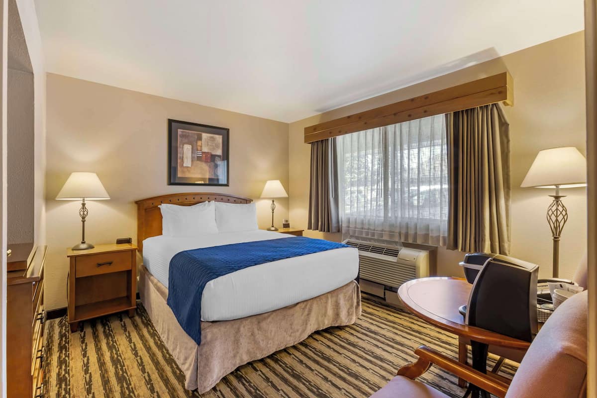 Standard Room, 1 Queen Bed, Non Smoking, Refrigerator & Microwave (Small Room) | 1 bedroom, desk, laptop workspace, blackout drapes