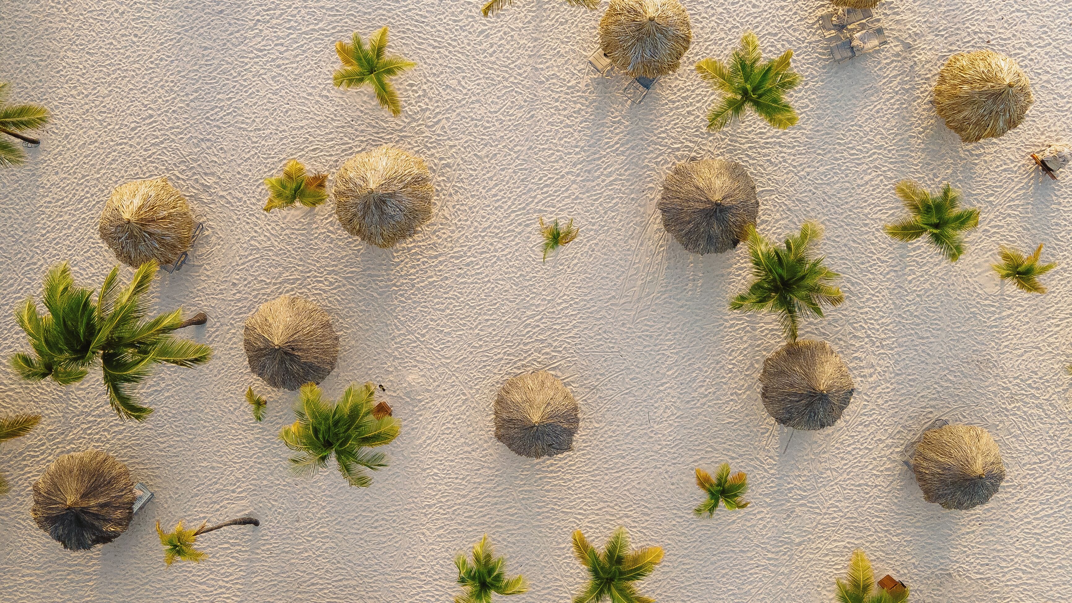 on the beach, white sand, free beach cabanas, sun-loungers