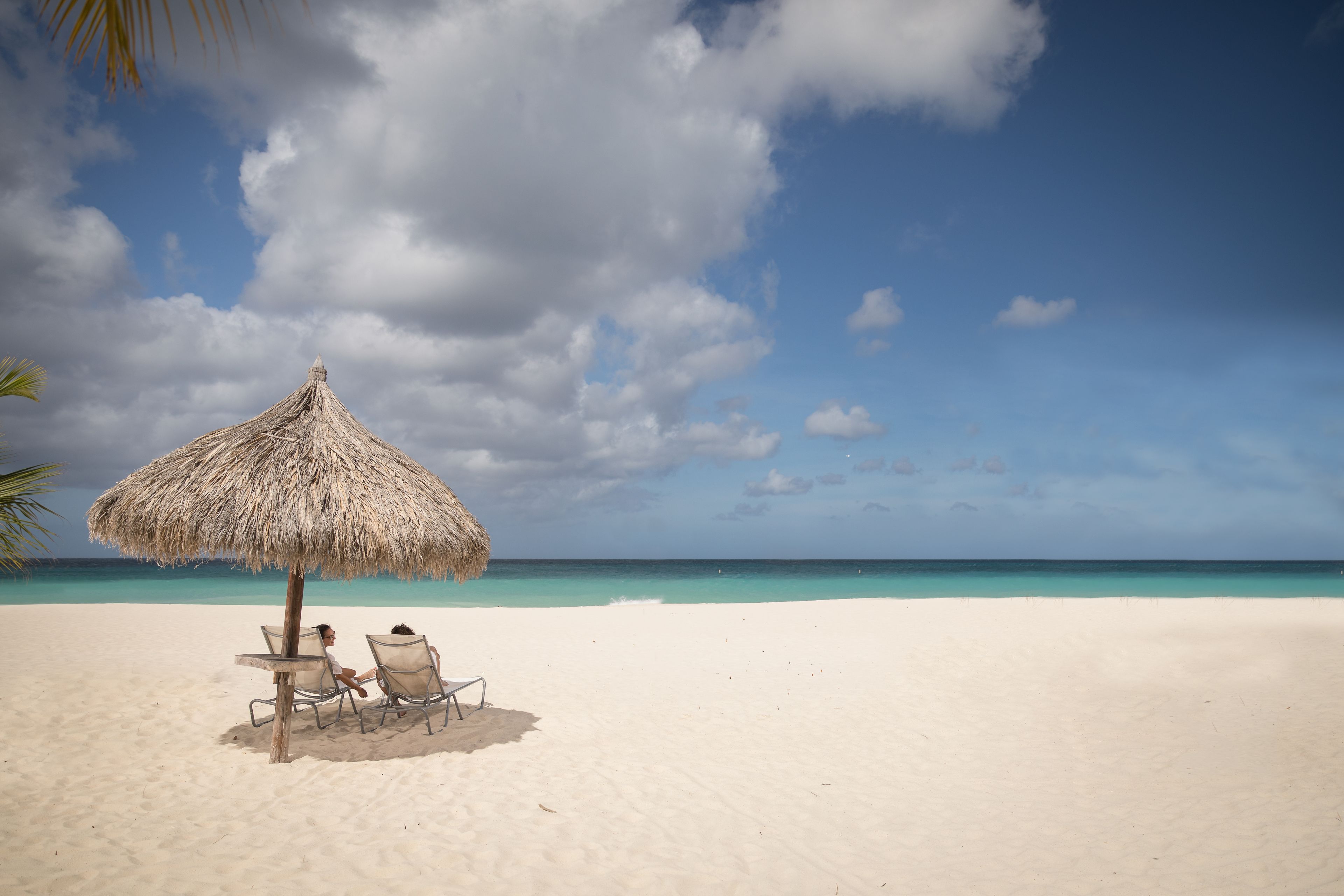 A beach with two chairs under a thatched umbrella, a palm tree, and a clear blue sky.