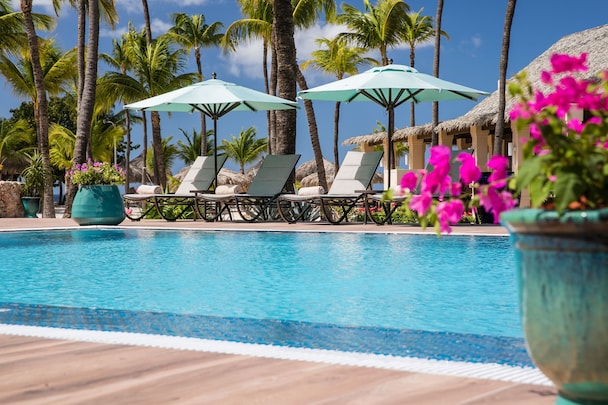 Searching for the best hotels in Aruba? From Eagle Beach gems to luxury Palm Beach icons and all-inclusive favorites, this guide has it all.