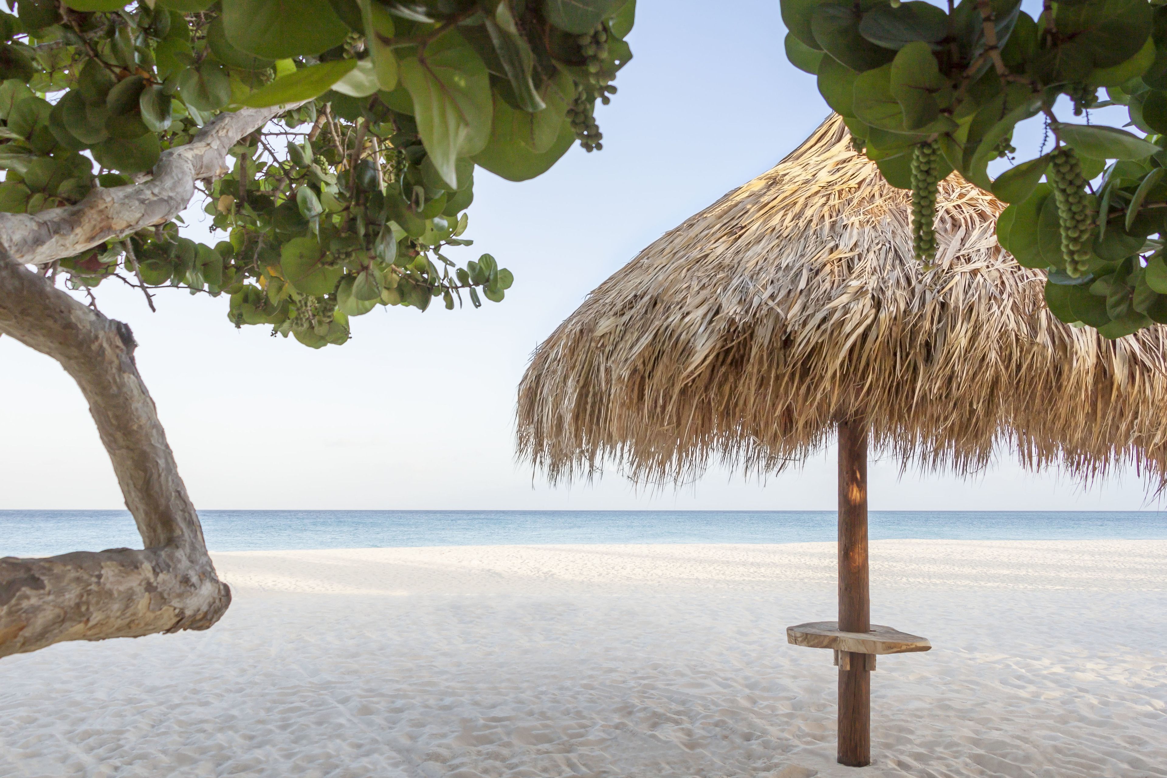 A beach scene with a thatched umbrella, sandy beach, and a tree.