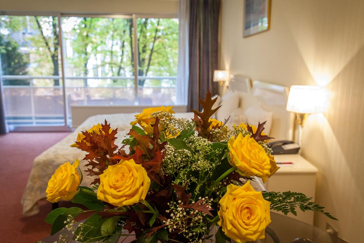 Chambre Classique King, vue jardin | 办公桌、笔记本电脑工作区、遮光窗帘、免费 WiFi