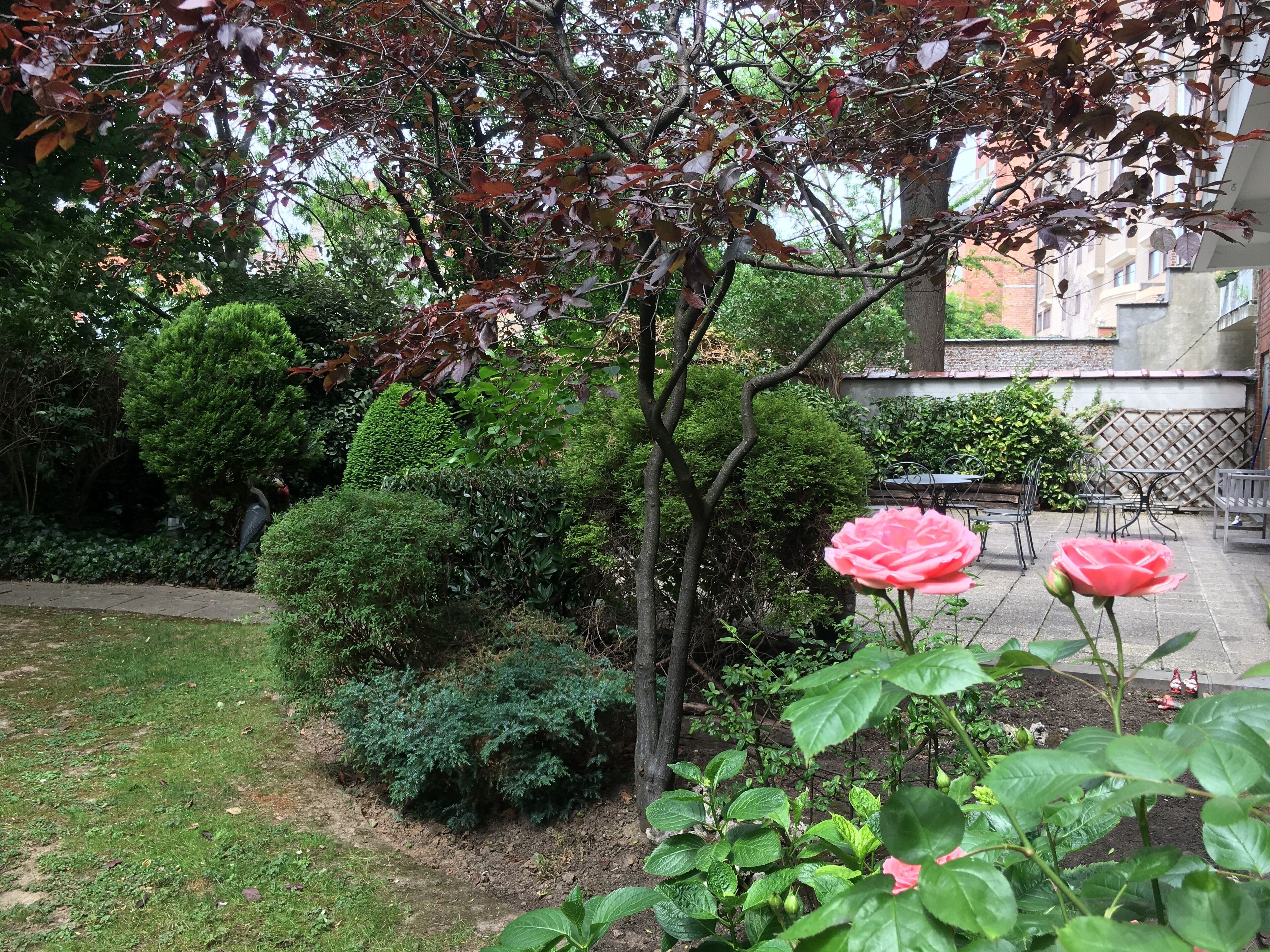 Chambre Classique King, vue jardin | Terrace/patio