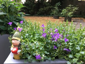 A planter with purple flowers and a figurine holding a red apple.