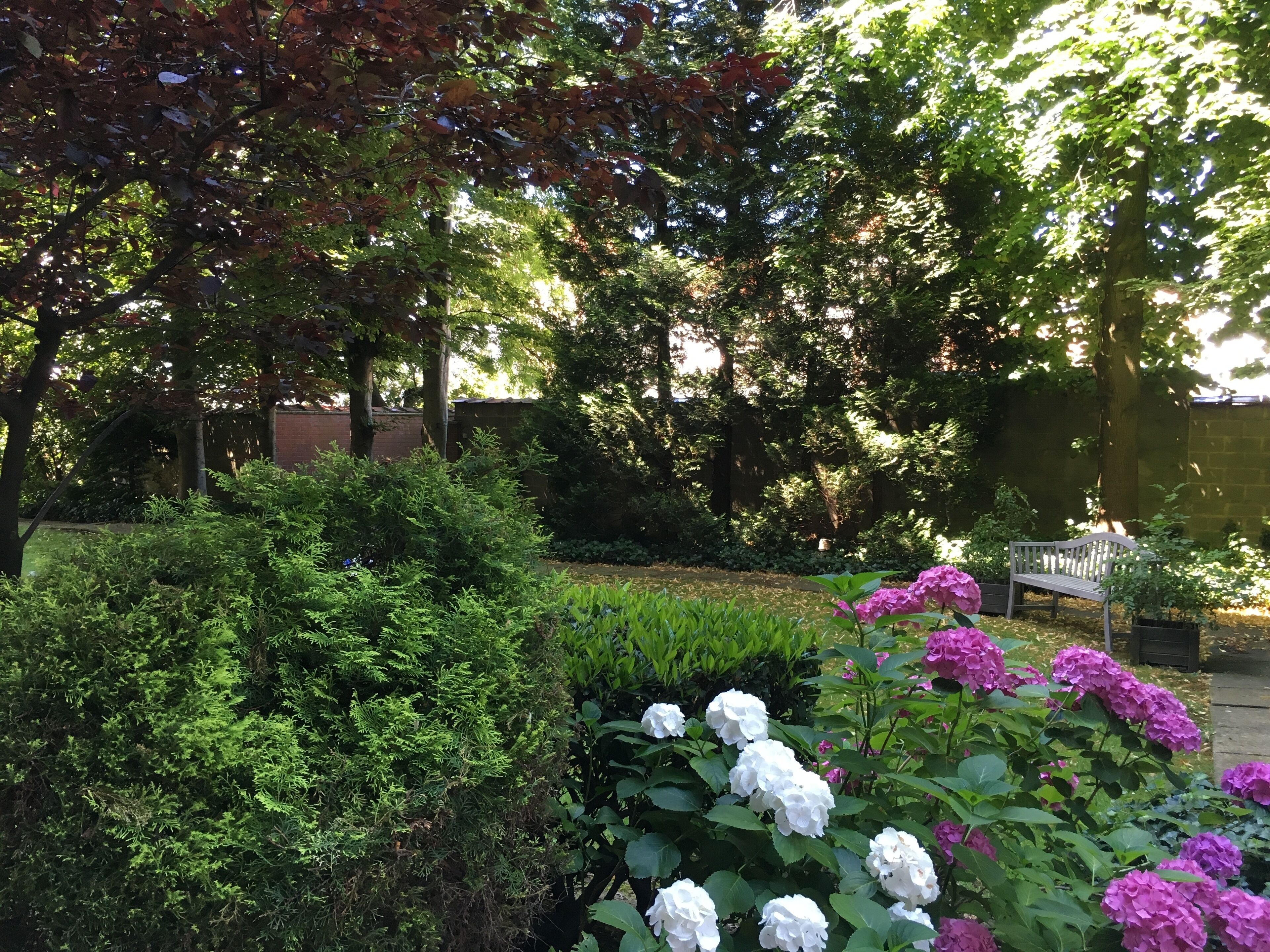 Foto - First Euroflat Hotel